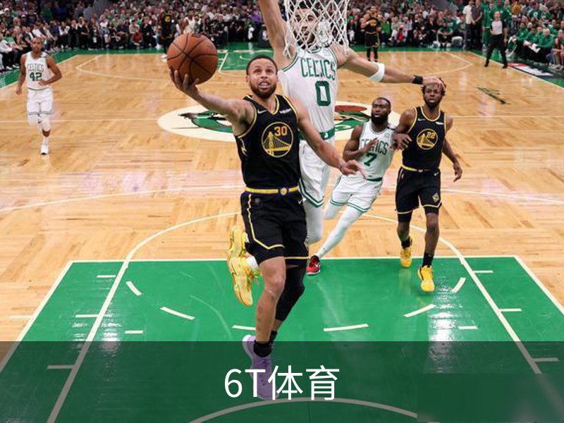 6T体育概况